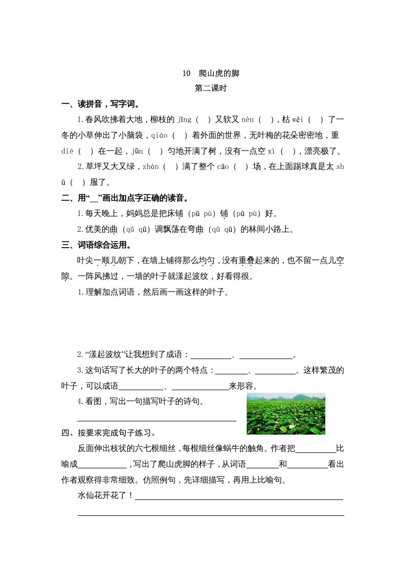图片[3]-四年级语文上册10爬山虎的脚-墨痕题库