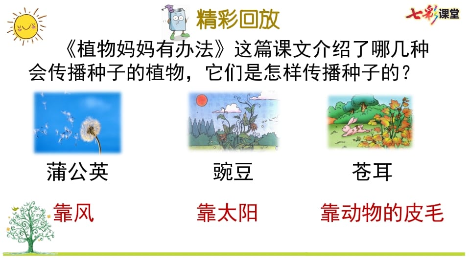 图片[2]-二年级语文上册专项5：课文知识点复习课件（部编）-墨痕题库