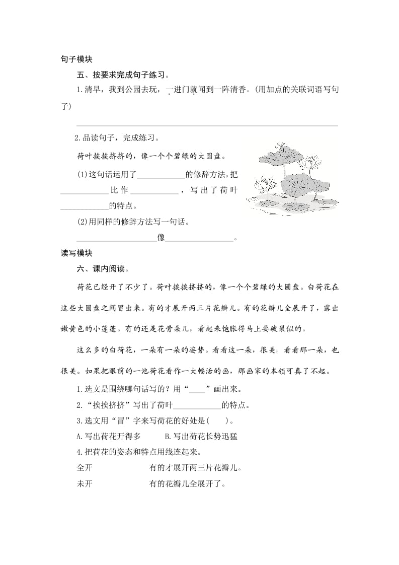 图片[2]-三年级语文下册3荷花-墨痕题库
