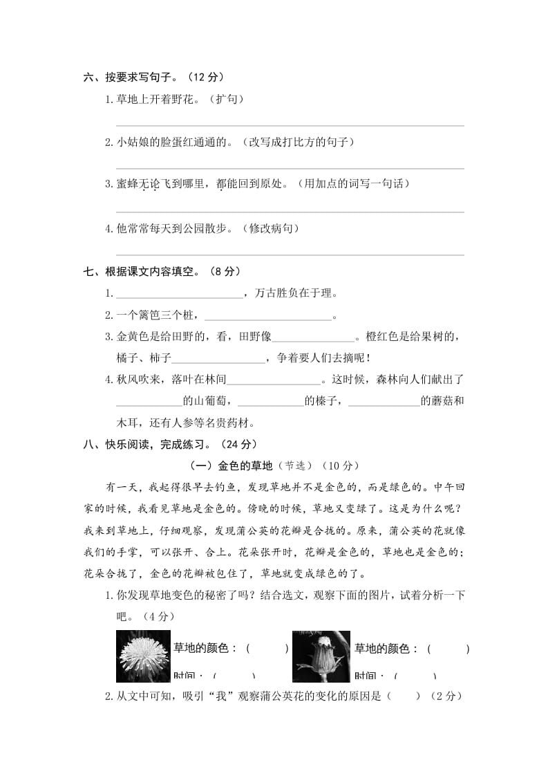 图片[2]-三年级语文上册期末练习(11)（部编版）-墨痕题库