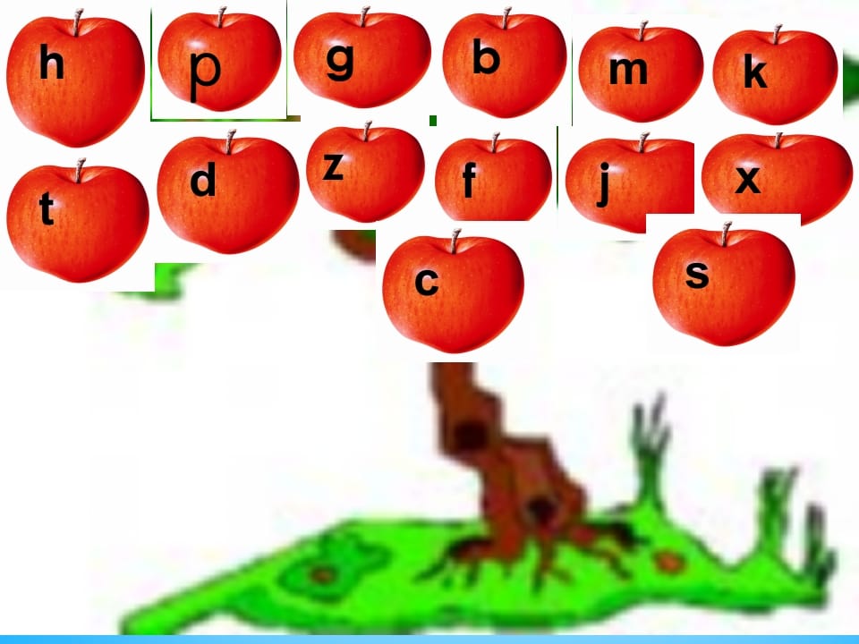 一年级语文上册8.zhchshr课件3（部编版）-墨痕题库