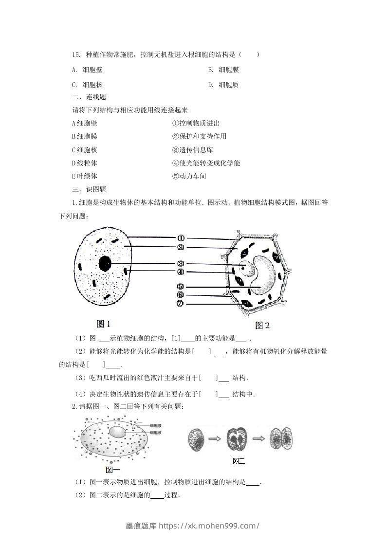 图片[3]-七年级上册生物第二单元第一章第四节试卷及答案(Word版)-墨痕题库