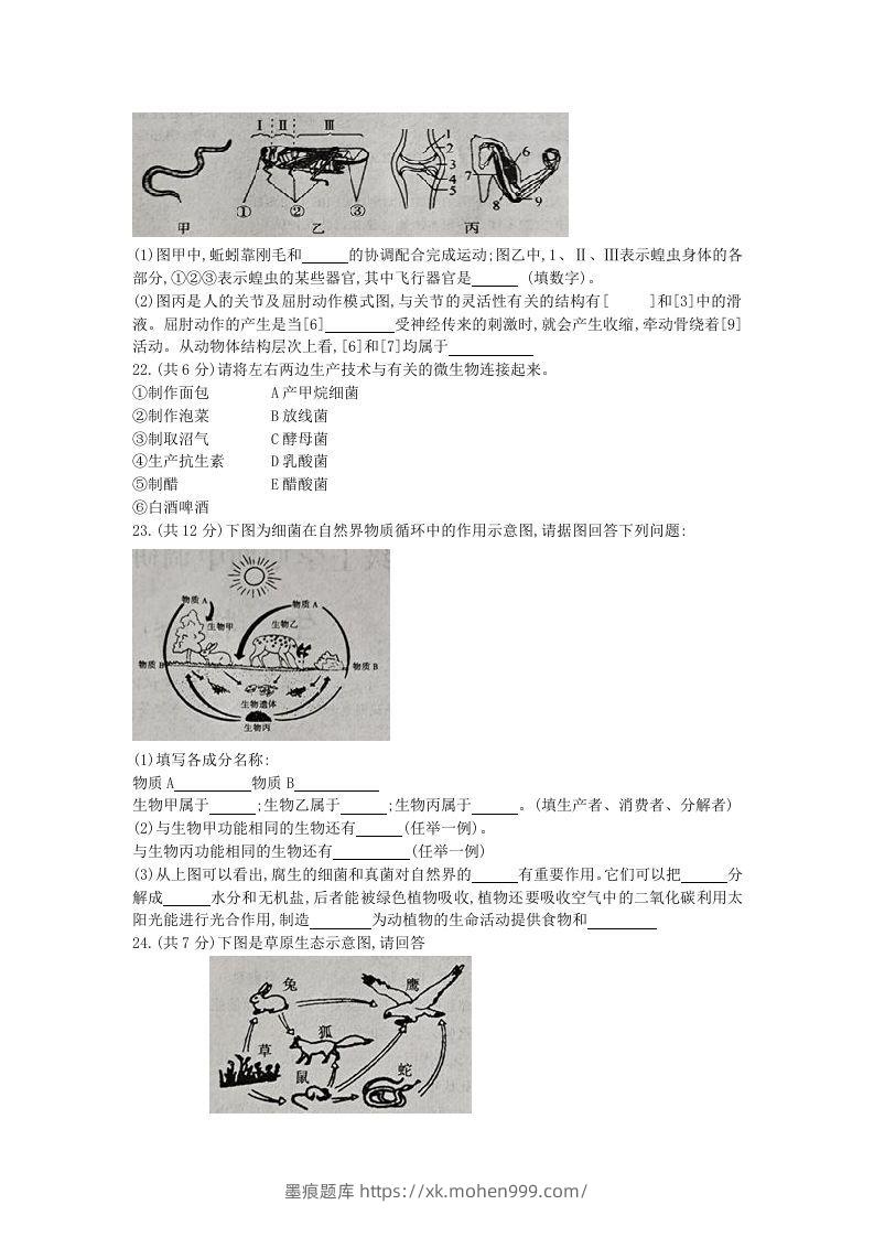 图片[3]-2020-2021学年河南省新乡市卫辉市八年级上学期期中生物试题及答案(Word版)-墨痕题库