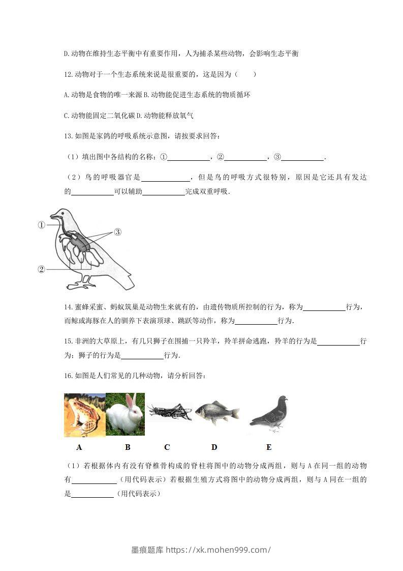 图片[3]-2020-2021学年湖北省黄冈市红安县八年级上学期期中生物试题及答案(Word版)-墨痕题库