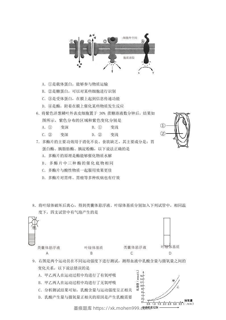 图片[2]-2019-2020年北京市房山区高二生物下学期期末试题及答案(Word版)-墨痕题库