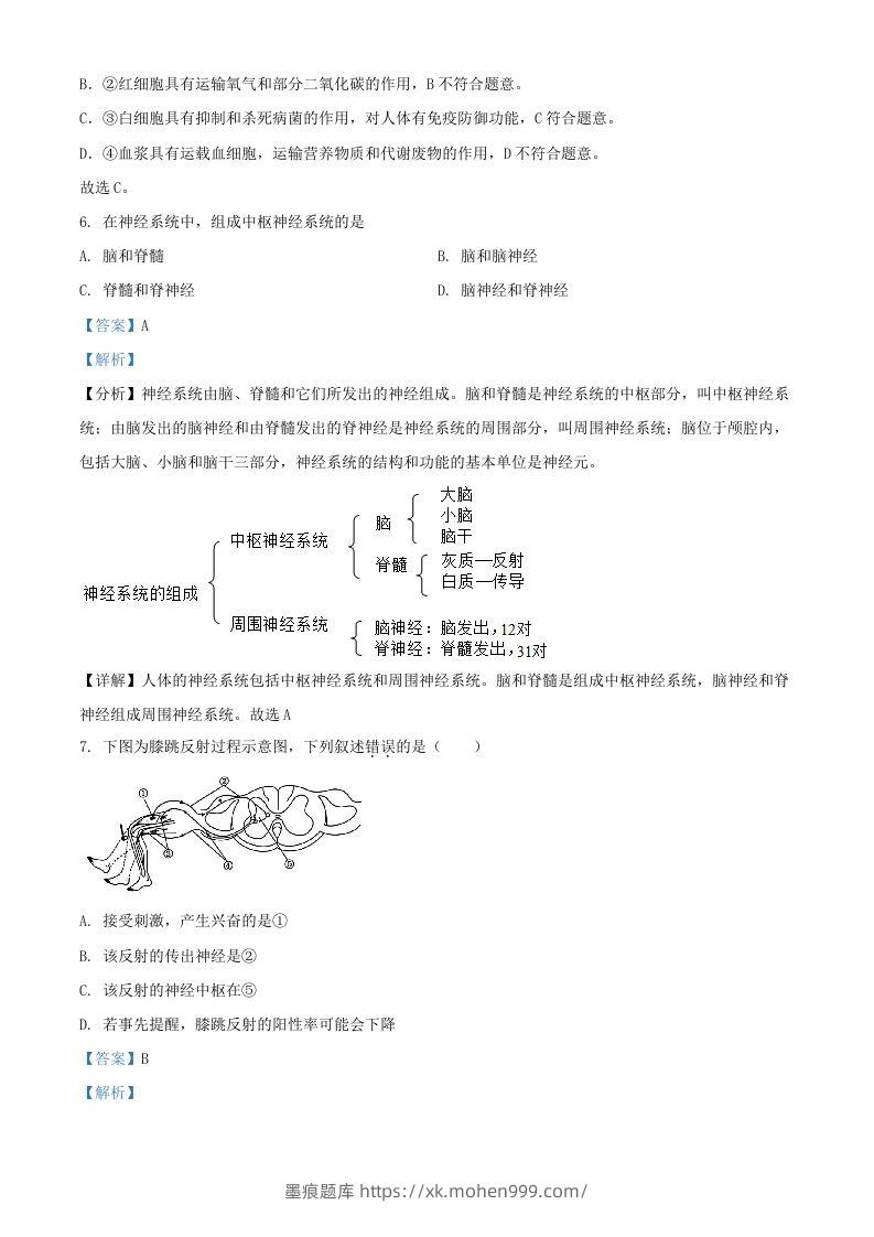 图片[3]-2024年上海中考生物试题及答案(Word版)-墨痕题库