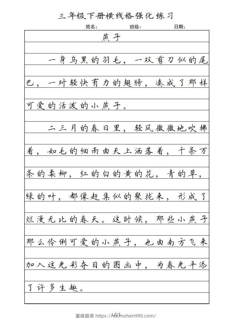 三年级语文下册横线格(部编版)-墨痕题库