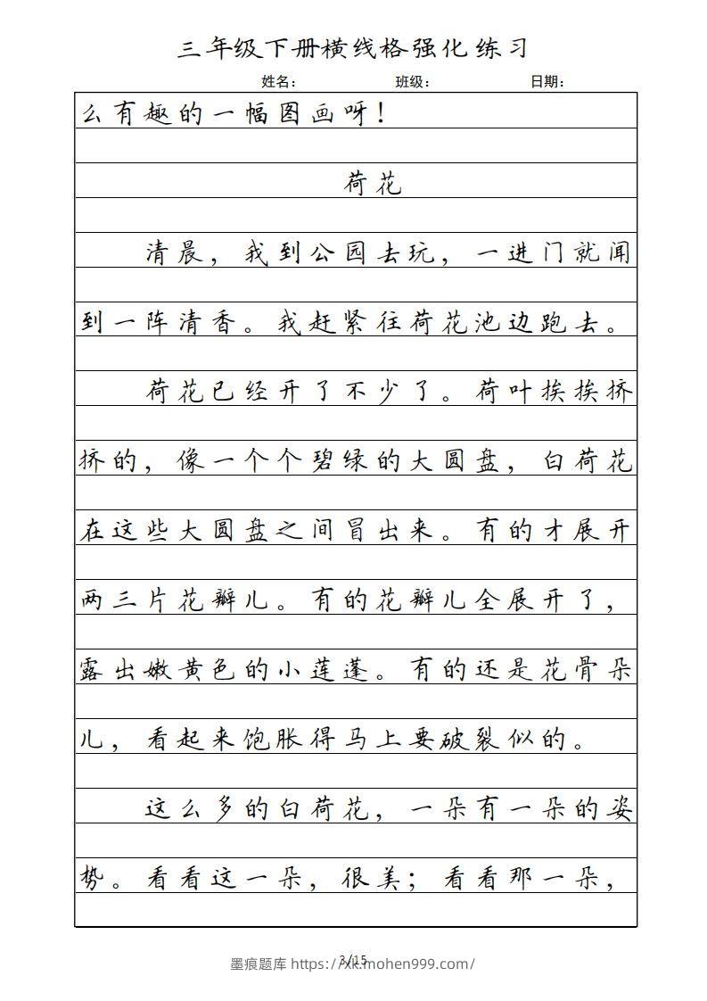 图片[3]-三年级语文下册横线格（部编版）-墨痕题库