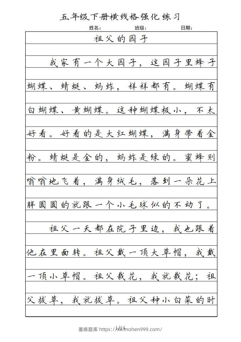 五年级语文下册横线格(部编版)-墨痕题库