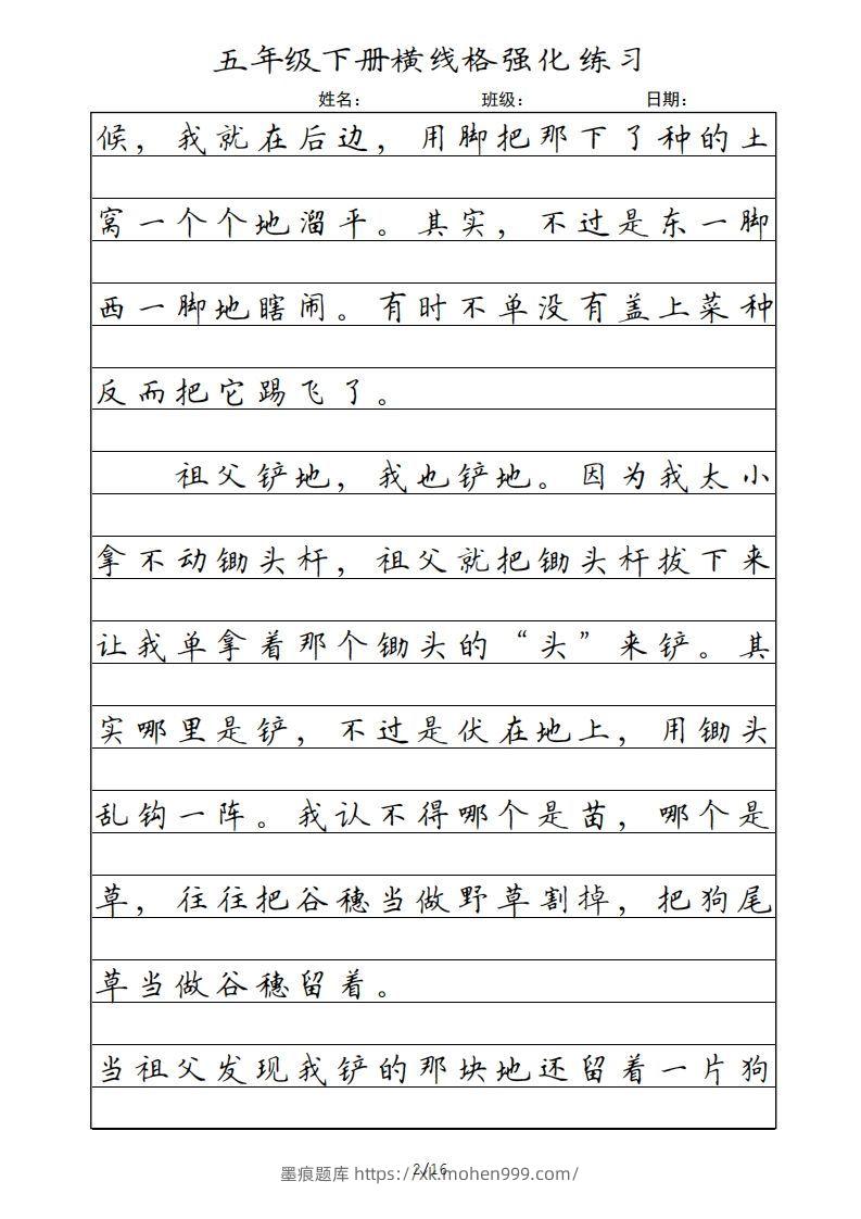 图片[2]-五年级语文下册横线格（部编版）-墨痕题库