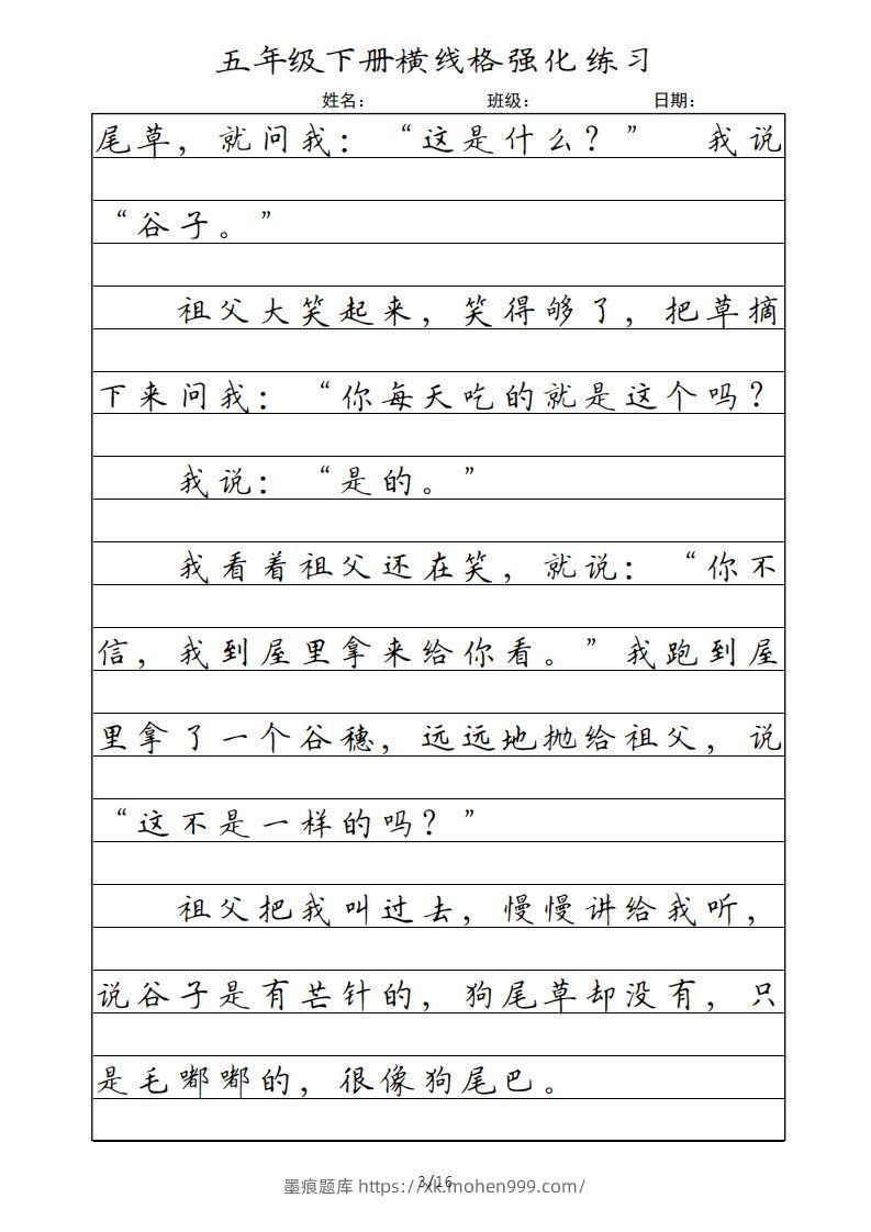 图片[3]-五年级语文下册横线格（部编版）-墨痕题库